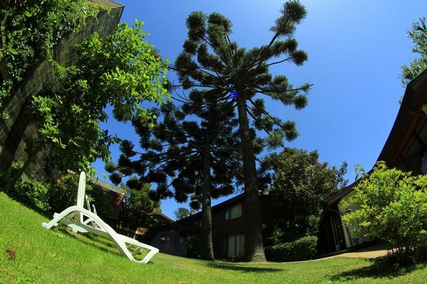 Fotografía 13 de Araucarias Hotel & Spa en Pucon, Araucania