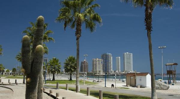 Fotografía 2 de Hotel Charlie InnÂ  en Iquique, Tarapaca