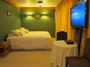 Hotel Coñaripe Termas Y Spa en Panguipulli, Los Rios